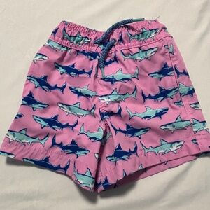 Little Boy Pink and Blue Swim Trunks Size 2T